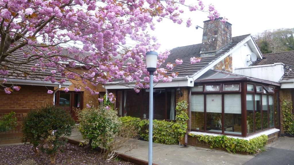 Woodville B&B Bray Eksteriør billede
